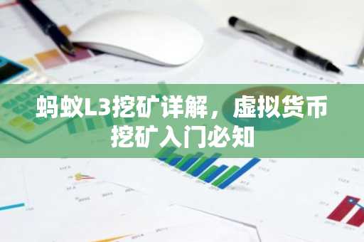 蚂蚁L3挖矿详解，虚拟货币挖矿入门必知