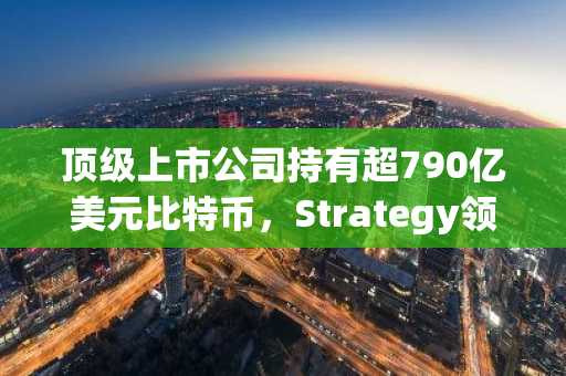 顶级上市公司持有超790亿美元比特币，Strategy领先