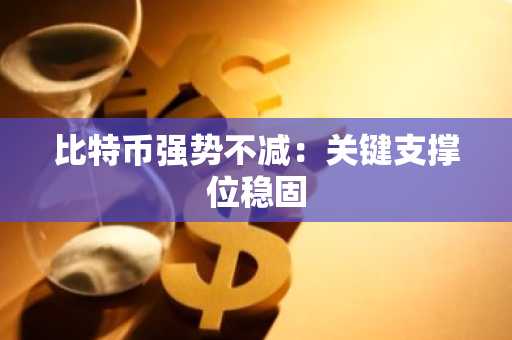 比特币强势不减:关键支撑位稳固