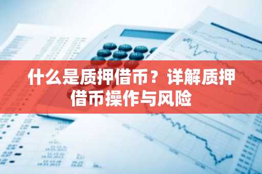 什么是质押借币?详解质押借币操作与风险