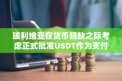 玻利维亚在货币短缺之际考虑正式批准USDT作为支付方式