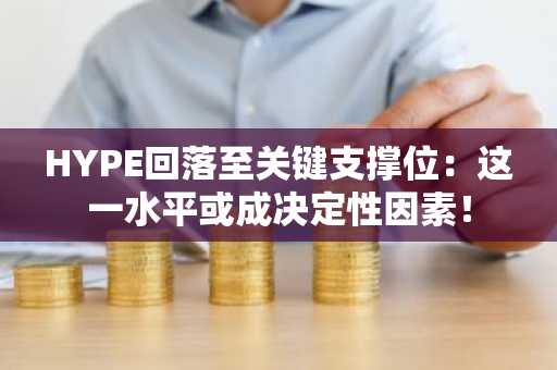 HYPE回落至关键支撑位：这一水平或成决定性因素！