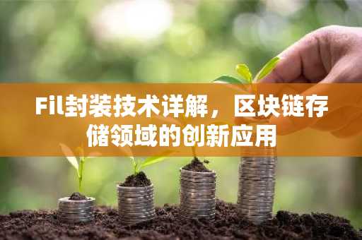 Fil封装技术详解，区块链存储领域的创新应用