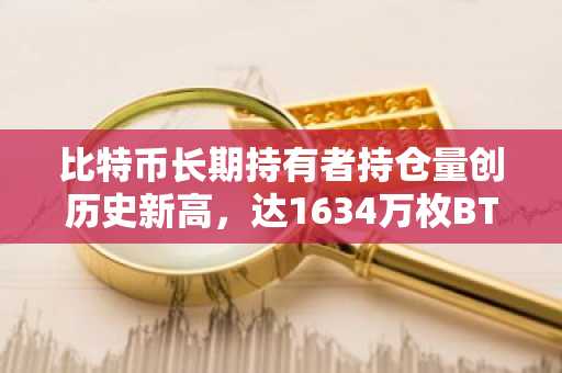 比特币长期持有者持仓量创历史新高,达1634万枚BTC,供应收紧但需求滞后