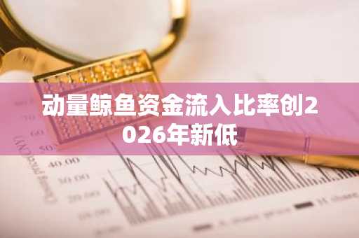 动量鲸鱼资金流入比率创2026年新低