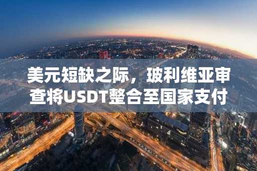 美元短缺之际,玻利维亚审查将USDT整合至国家支付系统