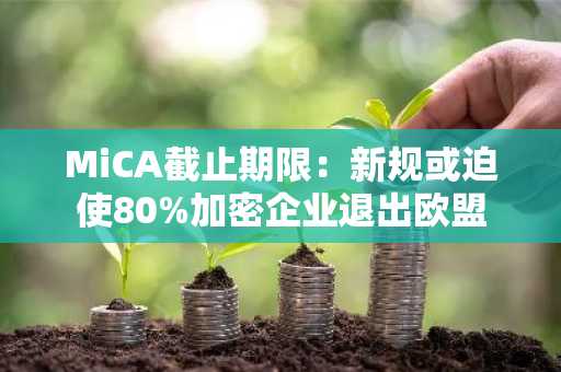 MiCA截止期限:新规或迫使80%加密企业退出欧盟