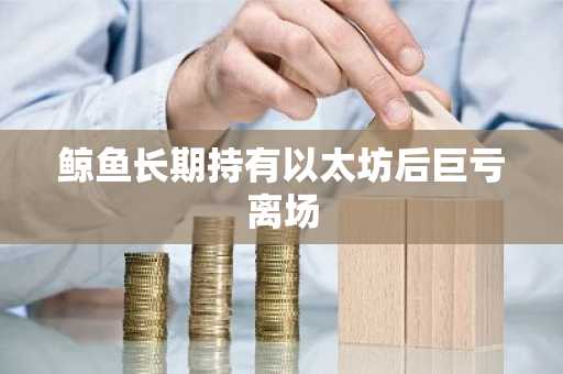 鲸鱼长期持有以太坊后巨亏离场