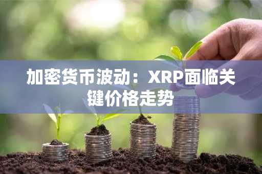 加密货币波动：XRP面临关键价格走势