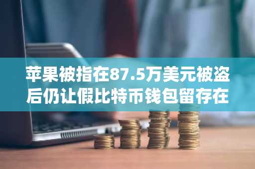 苹果被指在87.5万美元被盗后仍让假比特币钱包留存在App Store