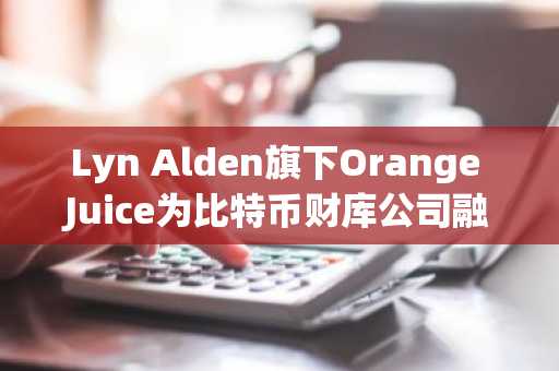 Lyn Alden旗下Orange Juice为比特币财库公司融资4000万美元