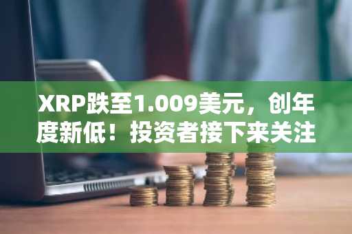 XRP跌至1.009美元,创年度新低!投资者接下来关注什么?
