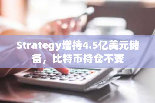 Strategy增持4.5亿美元储备，比特币持仓不变