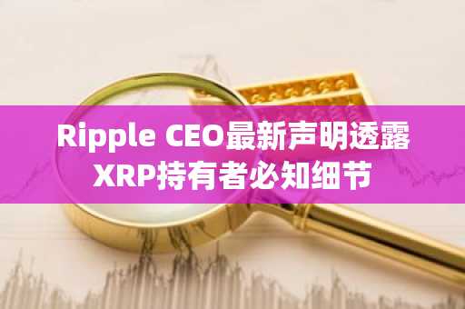 Ripple CEO最新声明透露XRP持有者必知细节