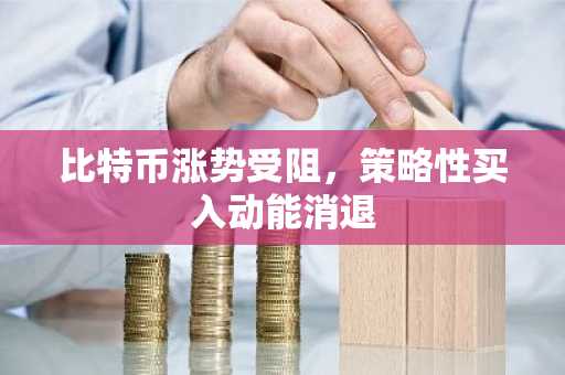比特币涨势受阻,策略性买入动能消退