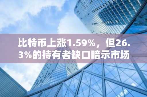 比特币上涨1.59%,但26.3%的持有者缺口暗示市场疲软