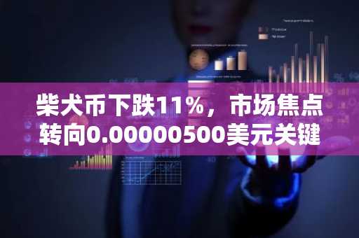 柴犬币下跌11%，市场焦点转向0.00000500美元关键支撑位