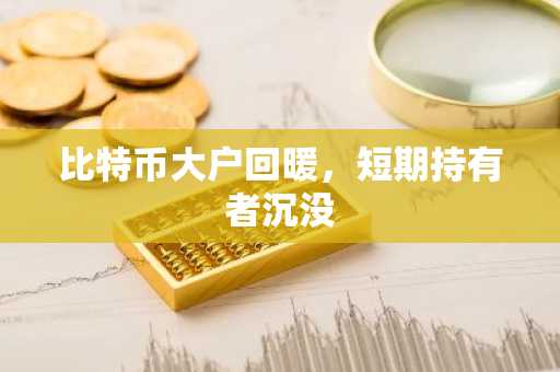 比特币大户回暖，短期持有者沉没