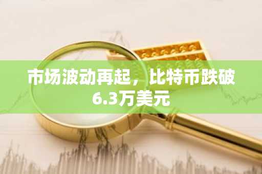市场波动再起,比特币跌破6.3万美元