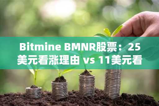 Bitmine BMNR股票:25美元看涨理由 vs 11美元看跌理由