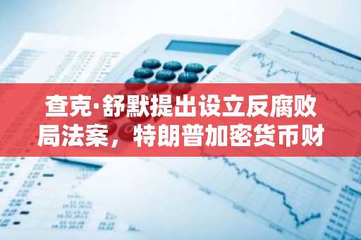 查克·舒默提出设立反腐败局法案，特朗普加密货币财富再遭审查
