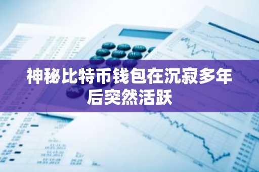 神秘比特币钱包在沉寂多年后突然活跃