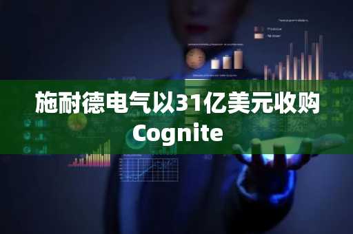 施耐德电气以31亿美元收购Cognite