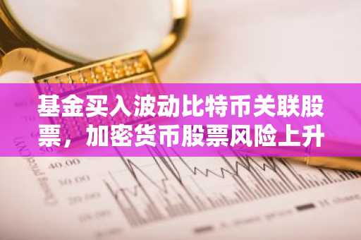 基金买入波动比特币关联股票，加密货币股票风险上升