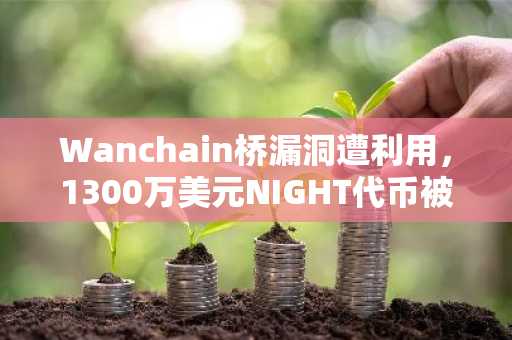 Wanchain桥漏洞遭利用,1300万美元NIGHT代币被盗