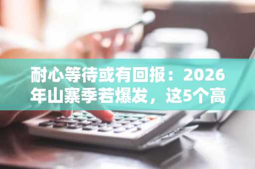 耐心等待或有回报：2026年山寨季若爆发，这5个高风险加密币有望闪耀