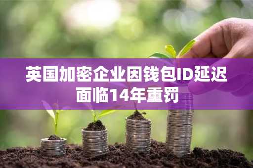 英国加密企业因钱包ID延迟面临14年重罚