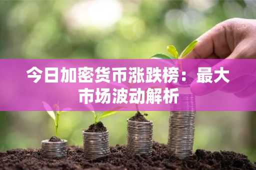 今日加密货币涨跌榜:最大市场波动解析