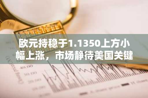 欧元持稳于1.1350上方小幅上涨,市场静待美国关键CPI数据
