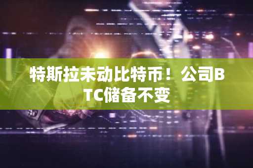 特斯拉未动比特币！公司BTC储备不变