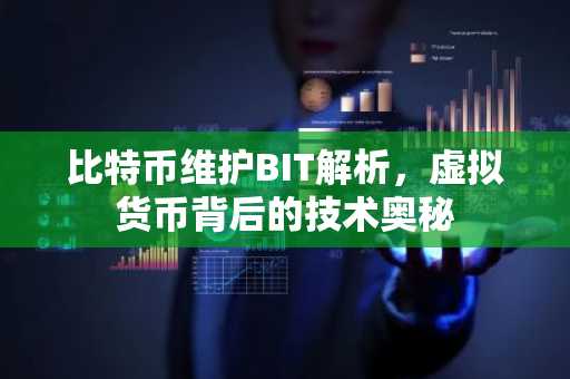 比特币维护BIT解析，虚拟货币背后的技术奥秘