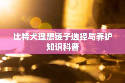 比特犬理想链子选择与养护知识科普