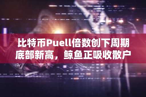 比特币Puell倍数创下周期底部新高,鲸鱼正吸收散户抛售