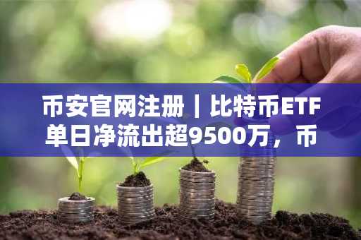 币安官网注册｜比特币ETF单日净流出超9500万，币安实时追踪资金动向