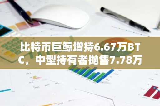 比特币巨鲸增持6.67万BTC,中型持有者抛售7.78万BTC