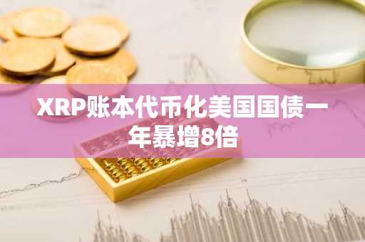 XRP账本代币化美国国债一年暴增8倍