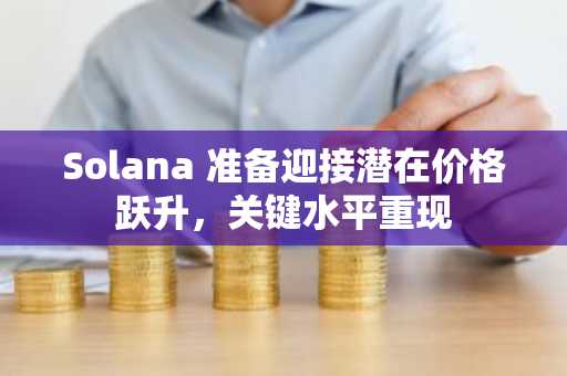 Solana 准备迎接潜在价格跃升,关键水平重现