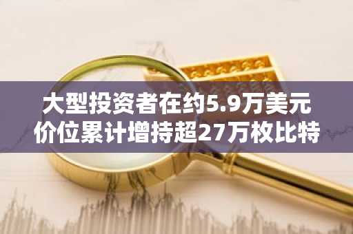 大型投资者在约5.9万美元价位累计增持超27万枚比特币,币安散户参与度创历史新低