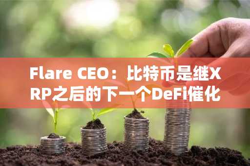 Flare CEO：比特币是继XRP之后的下一个DeFi催化剂