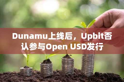 Dunamu上线后,Upbit否认参与Open USD发行