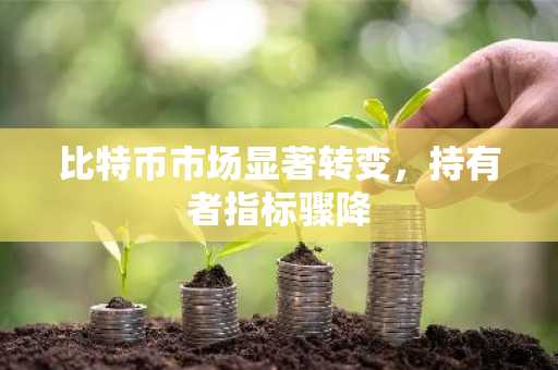 比特币市场显著转变，持有者指标骤降