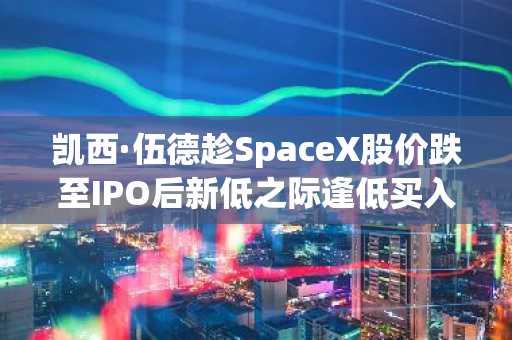 凯西·伍德趁SpaceX股价跌至IPO后新低之际逢低买入