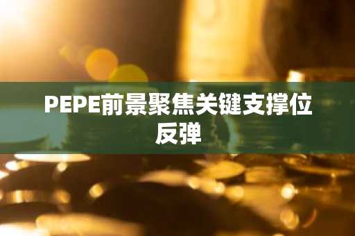 PEPE前景聚焦关键支撑位反弹