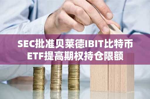 SEC批准贝莱德IBIT比特币ETF提高期权持仓限额