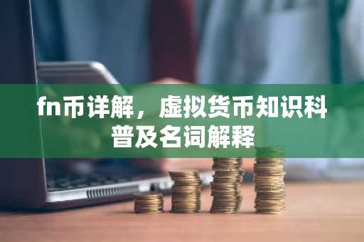 fn币详解,虚拟货币知识科普及名词解释